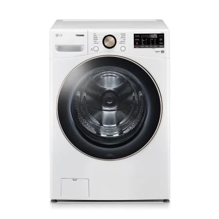LG 트롬 세탁기 24kg (F24WDLP)